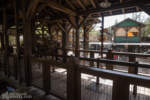 Disney California Adventure spring break crowds Grizzly River Run DSC_5965-X5