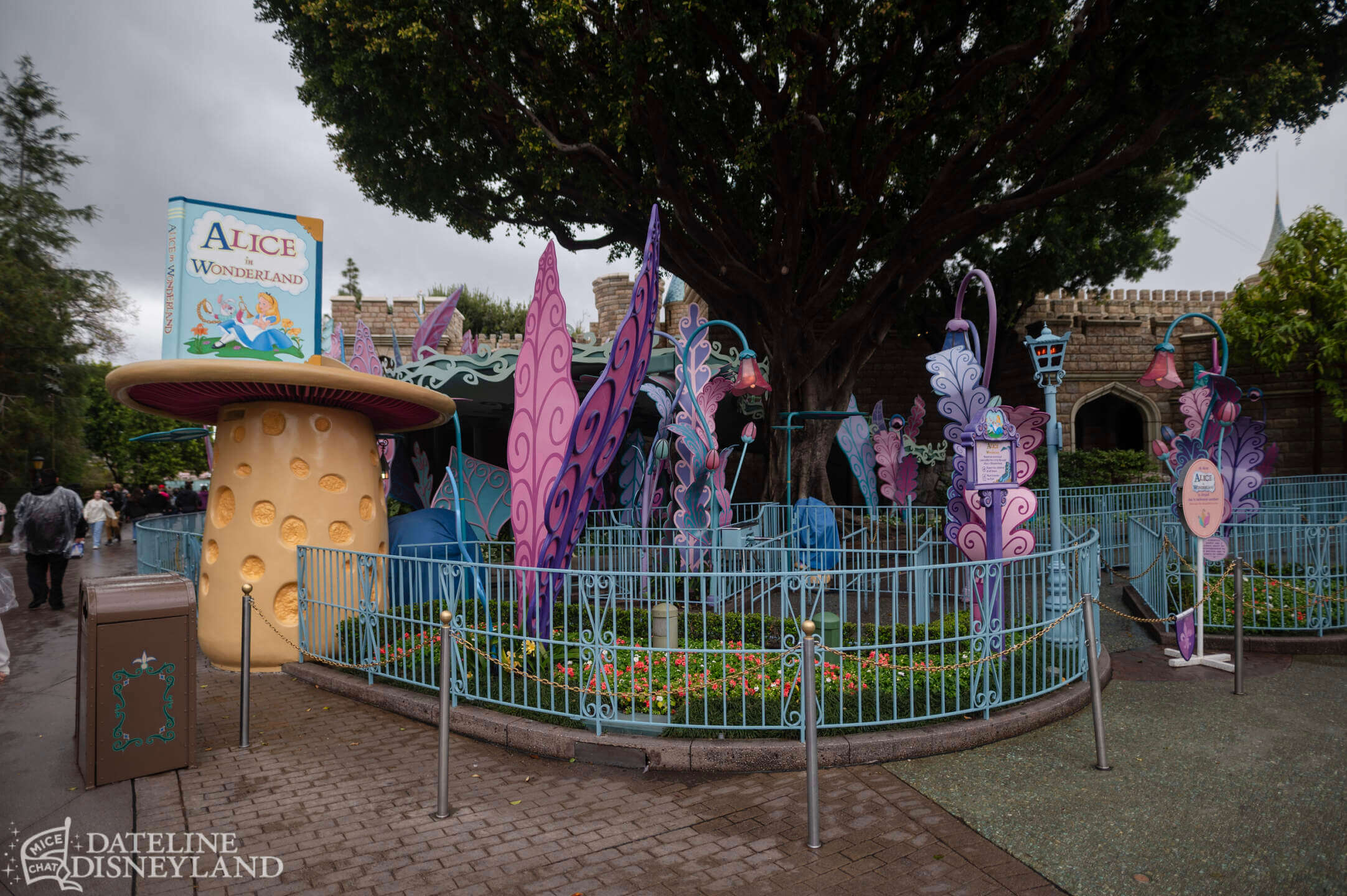 Disneyland, Disneyland Update: Rainy Days, Reveals, and Reinventions!