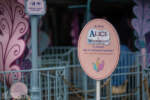 Disneyland Alice in Wonderland closed rain DSC_7410-X5