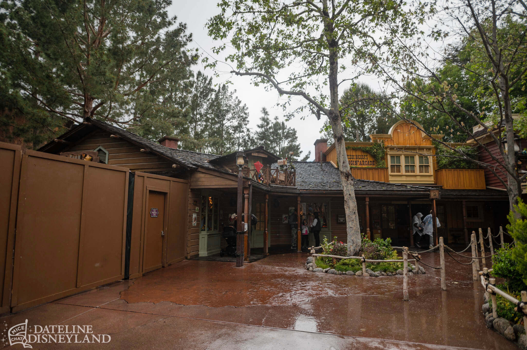 Disneyland, Disneyland Update: Rainy Days, Reveals, and Reinventions!