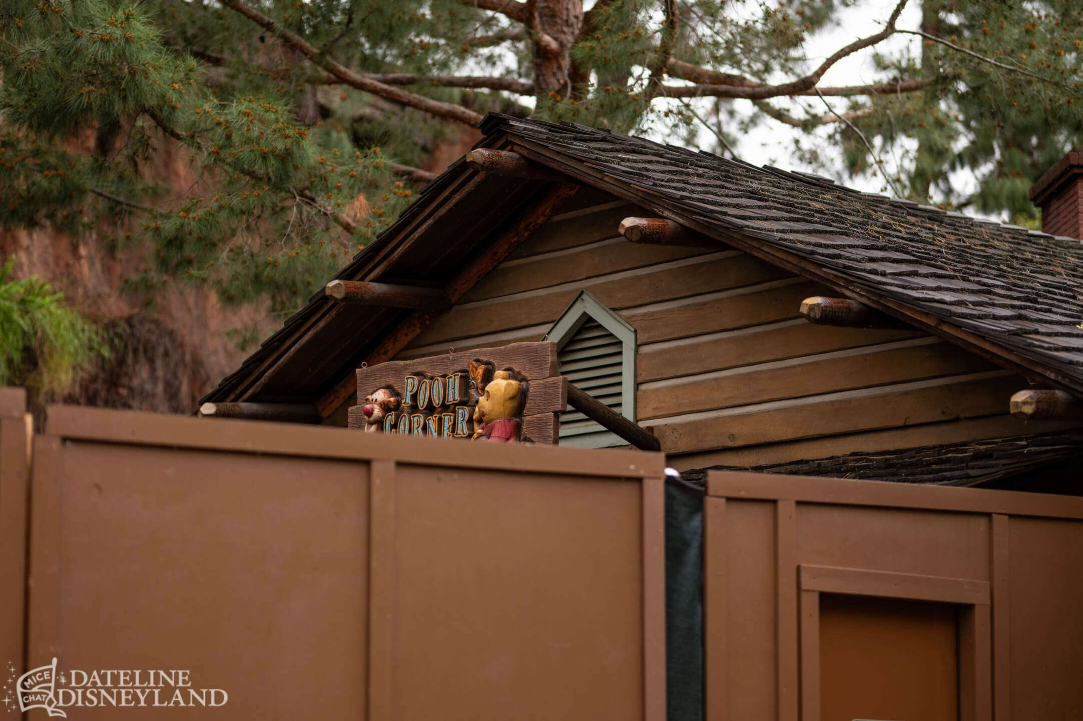 Disneyland, Disneyland Update: Rainy Days, Reveals, and Reinventions!