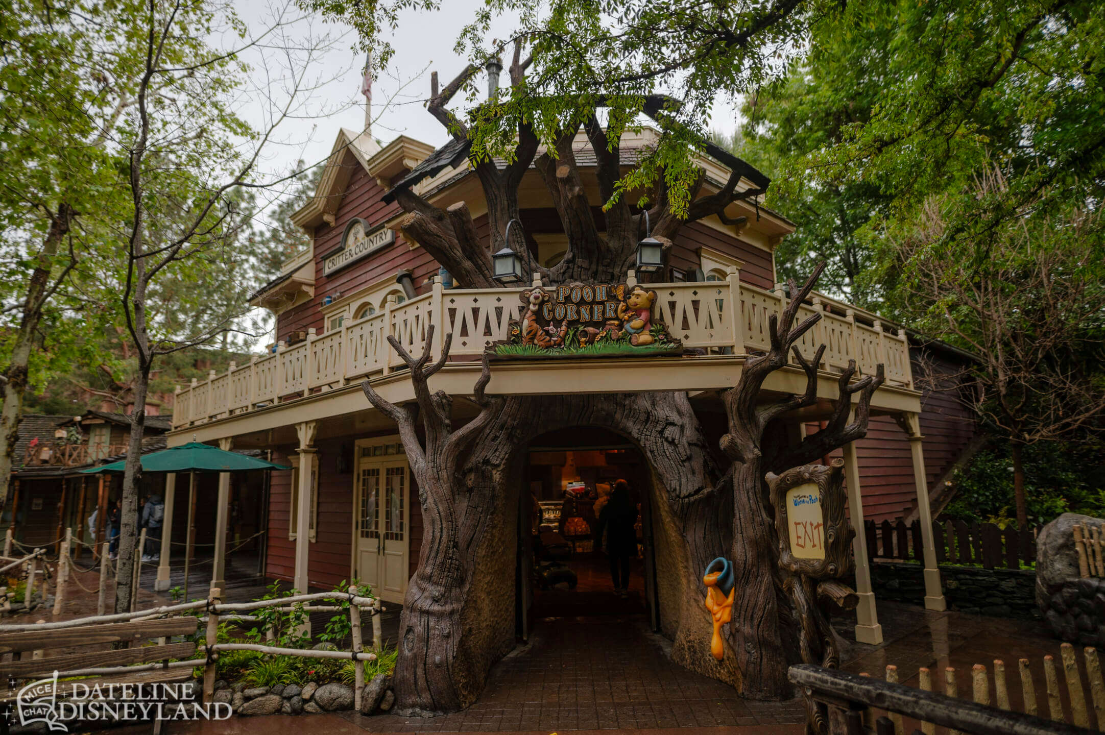 Disneyland, Disneyland Update: Rainy Days, Reveals, and Reinventions!