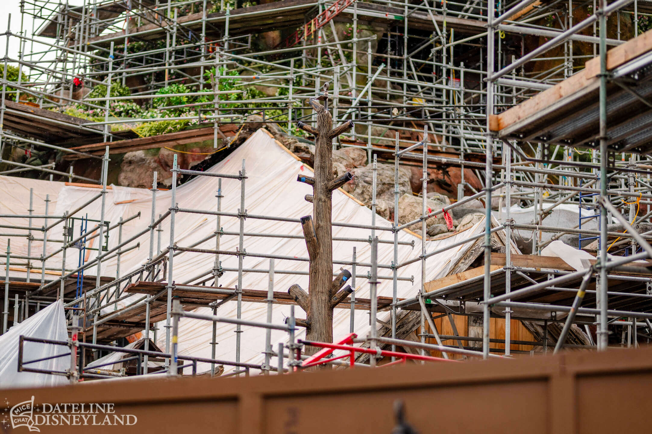 Disneyland, Disneyland Update: Rainy Days, Reveals, and Reinventions!