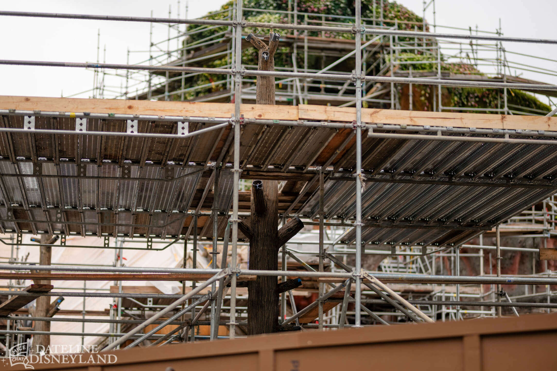 Disneyland, Disneyland Update: Rainy Days, Reveals, and Reinventions!