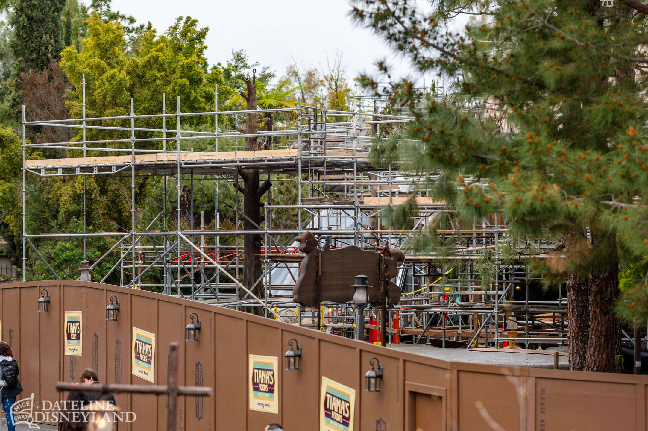 Disneyland, Disneyland Update: Rainy Days, Reveals, and Reinventions!