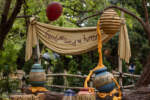 Disneyland Critter Country Winnie the Pooh meet and greet area DSC_8421-X5