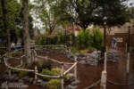 Disneyland Critter Country Winnie the Pooh meet and greet area DSC_8497-X5