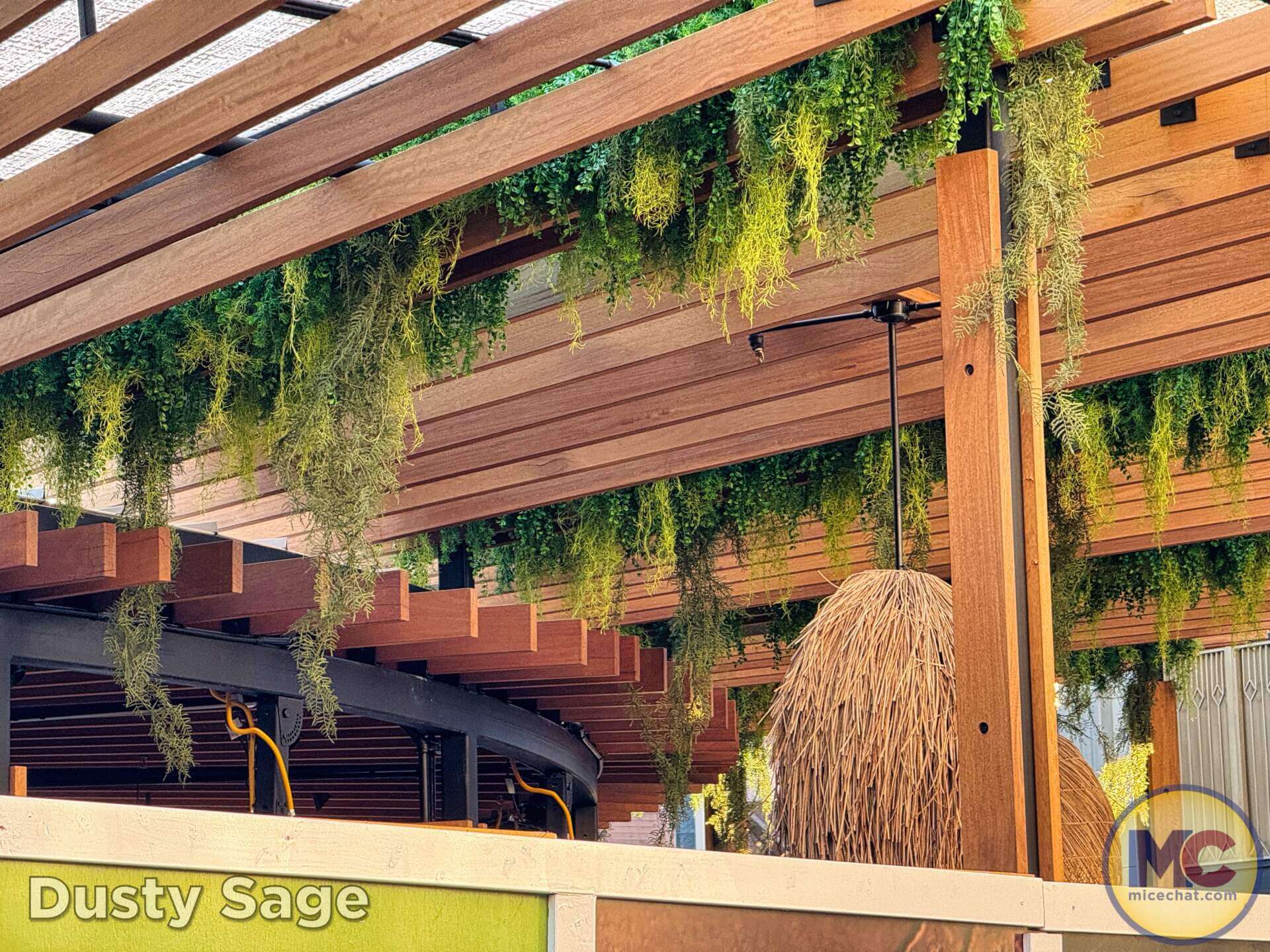 , DISNEYLAND UPDATE: The Force Awakens, Tomorrowland Transformation & Avatar Adventure