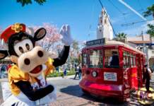 Disneyland Update: Rainy Days, Reveals, and Reinventions!