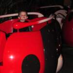 A Bug’s Land