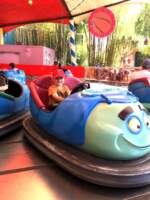A Bug’s Land