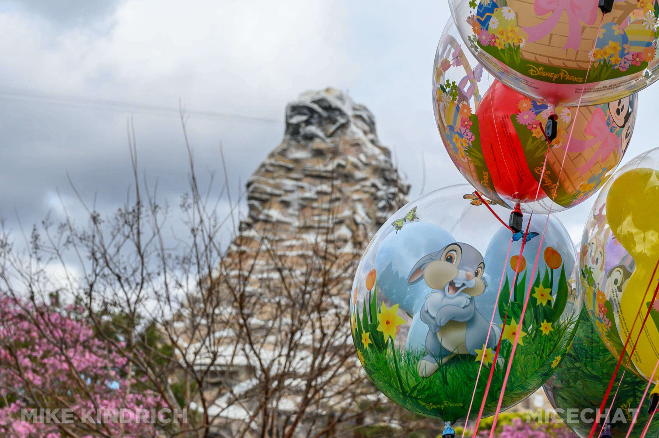 , DISNEYLAND UPDATE: The Force Awakens, Tomorrowland Transformation & Avatar Adventure