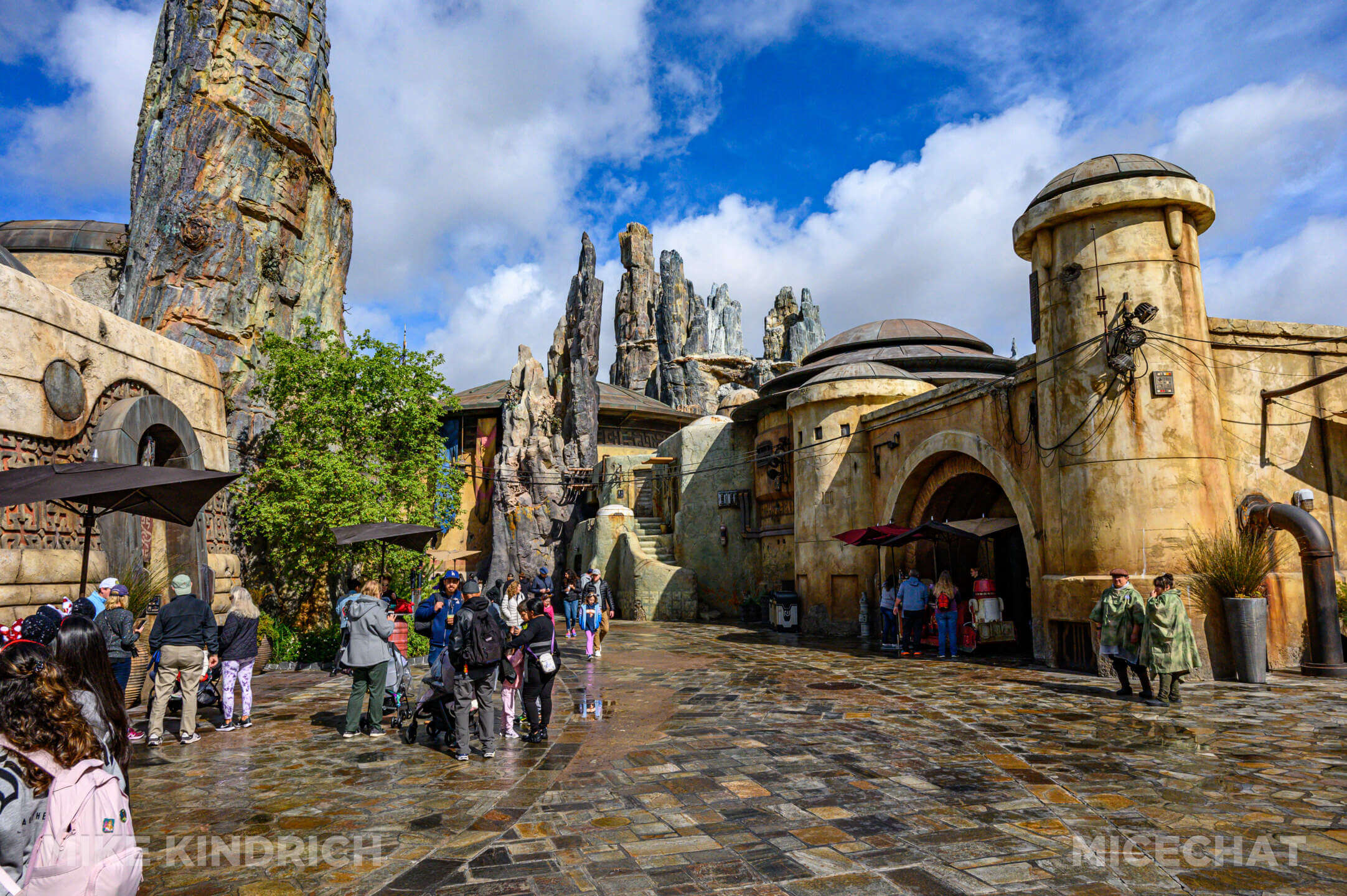 Letter to Disneyland, Dear Disneyland, I’m Worried About You –  A Heartfelt Letter from a Friend