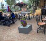 Rancho Zocalo boxes 3