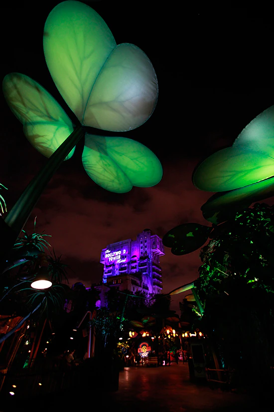 A Bug's Land
