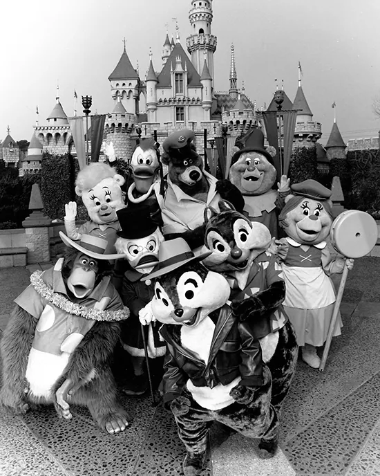 The Disney Afternoon