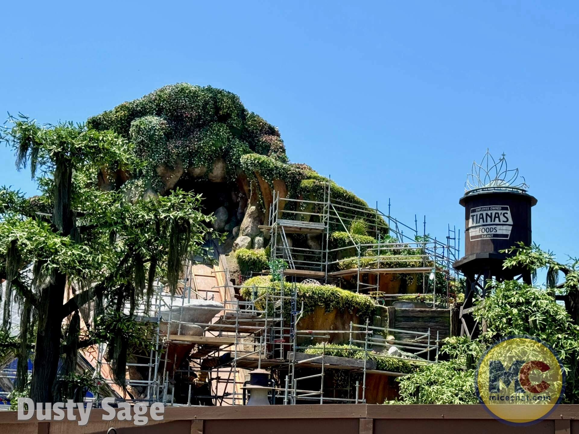 , DISNEYLAND UPDATE: Tiana’s Wild Waters, Country Bear Surprise  & Fantasmic!