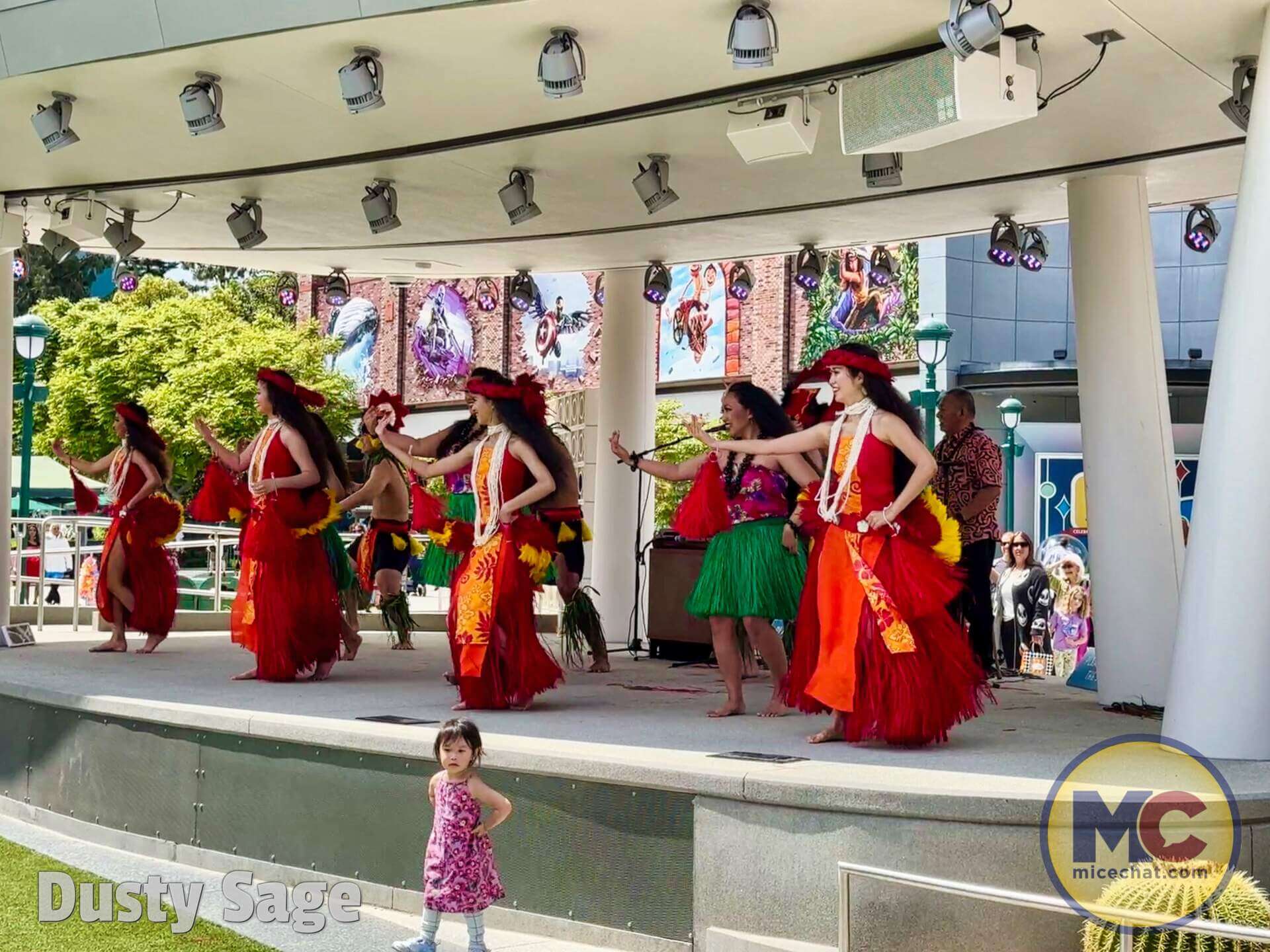 , DISNEYLAND UPDATE: Tiana’s Wild Waters, Country Bear Surprise  & Fantasmic!