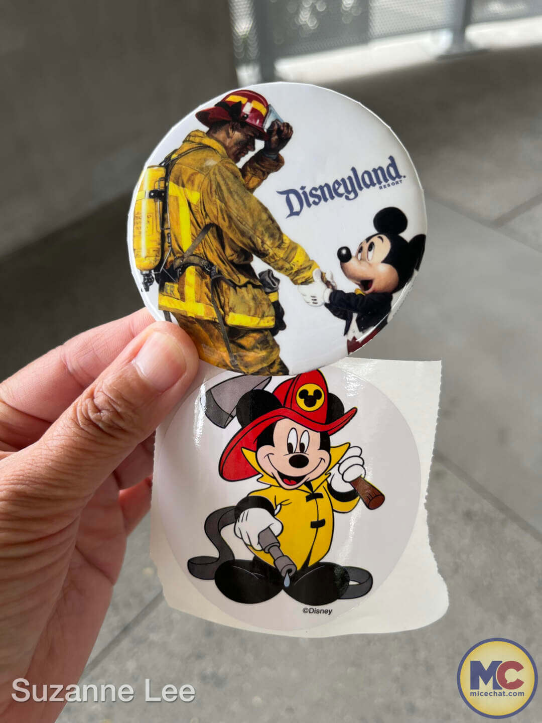 , DISNEYLAND UPDATE: Beautiful Fantasies & Overwhelming Nightmares