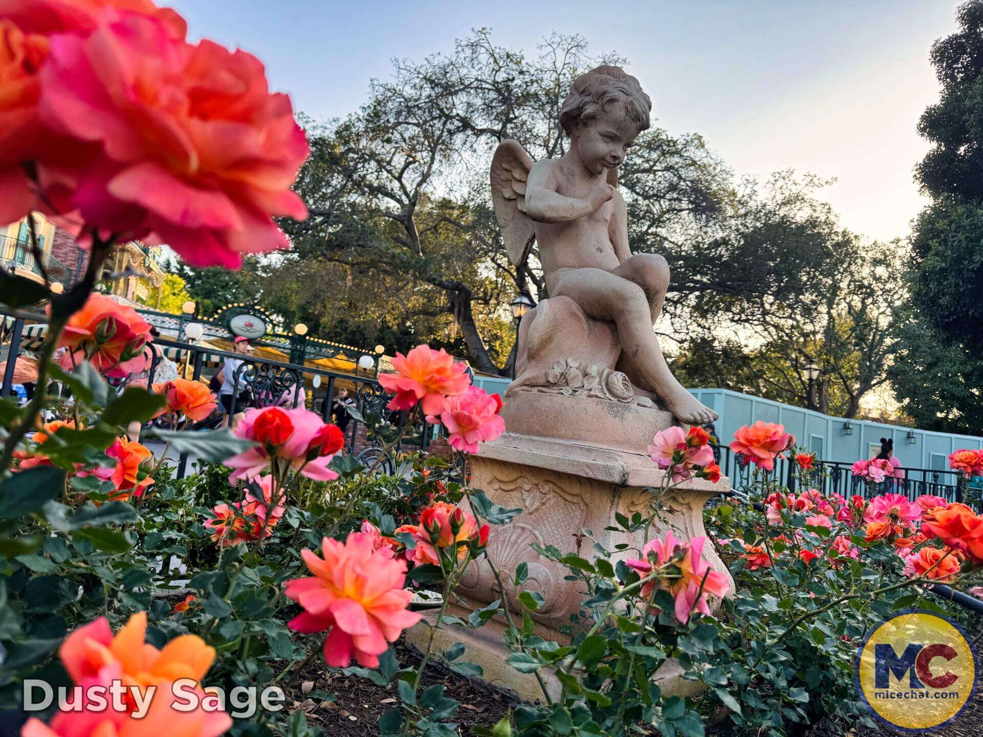 , DISNEYLAND UPDATE: Tiana’s Wild Waters, Country Bear Surprise  & Fantasmic!