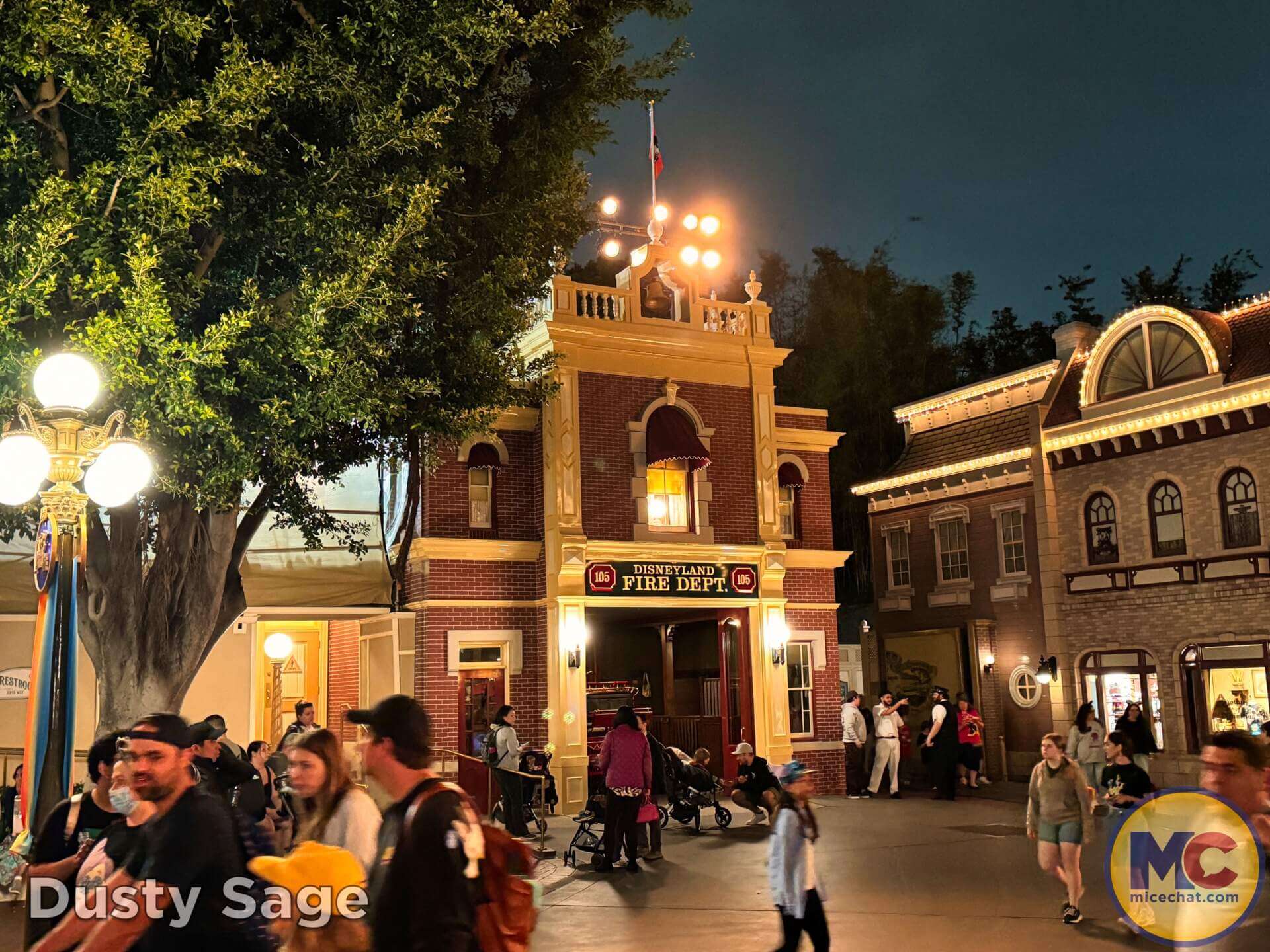 , DISNEYLAND UPDATE: Tiana’s Wild Waters, Country Bear Surprise  & Fantasmic!