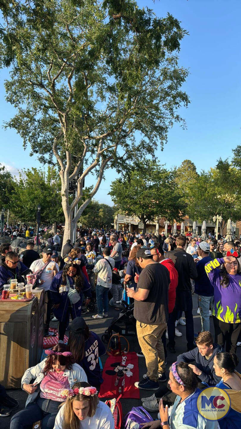 , DISNEYLAND UPDATE: Beautiful Fantasies & Overwhelming Nightmares