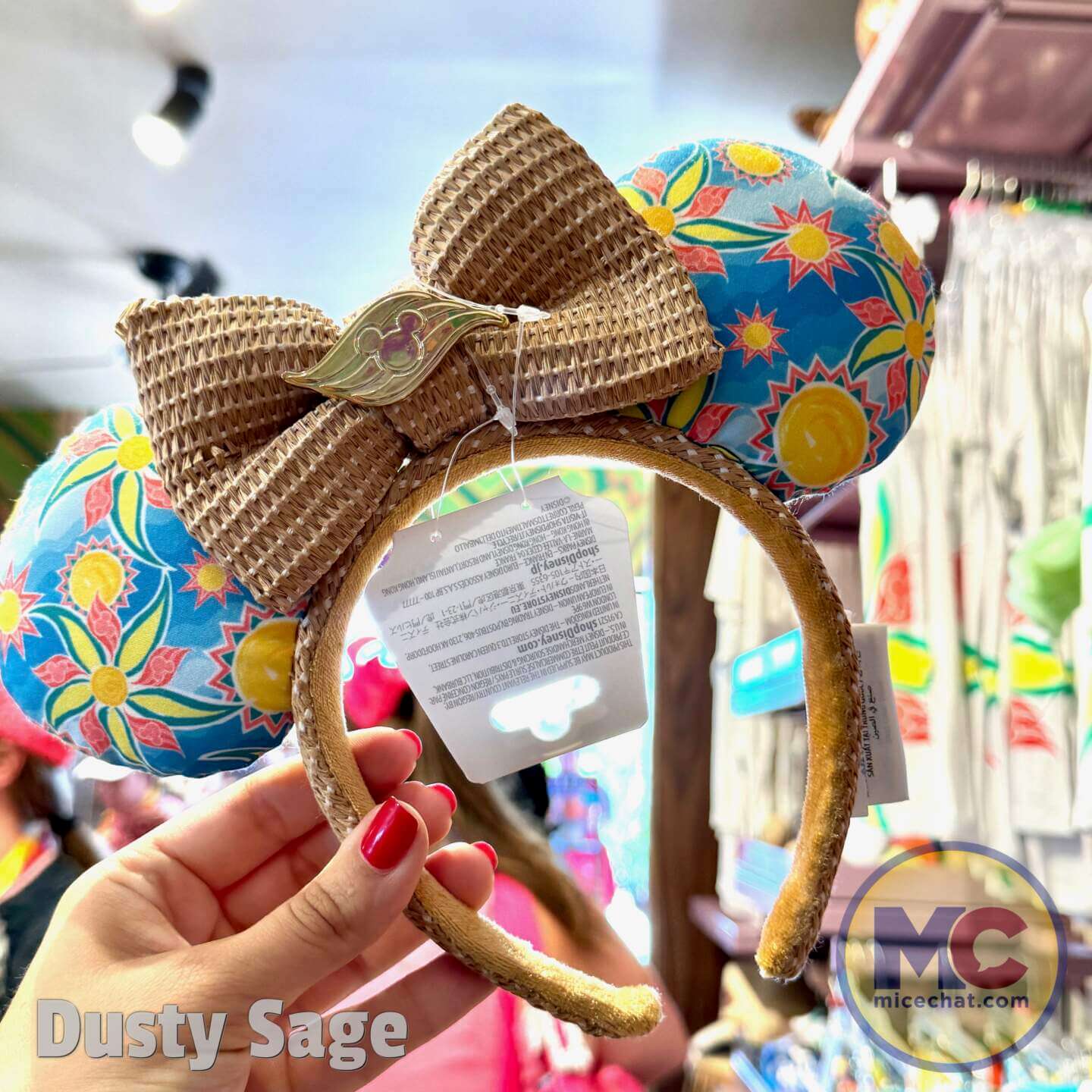 Lookout Cay, Look at Lookout Cay – A Guide to Disney’s New Tropical Island Destination!