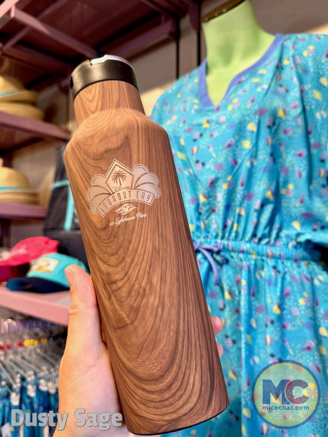 Lookout Cay, Look at Lookout Cay – A Guide to Disney’s New Tropical Island Destination!