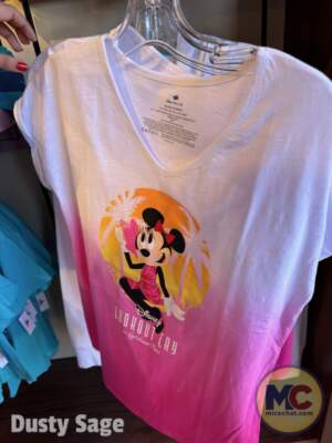 Lookout Cay, Look at Lookout Cay – A Guide to Disney’s New Tropical Island Destination!