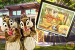 Fort Wilderness Cabins Walt Disney World