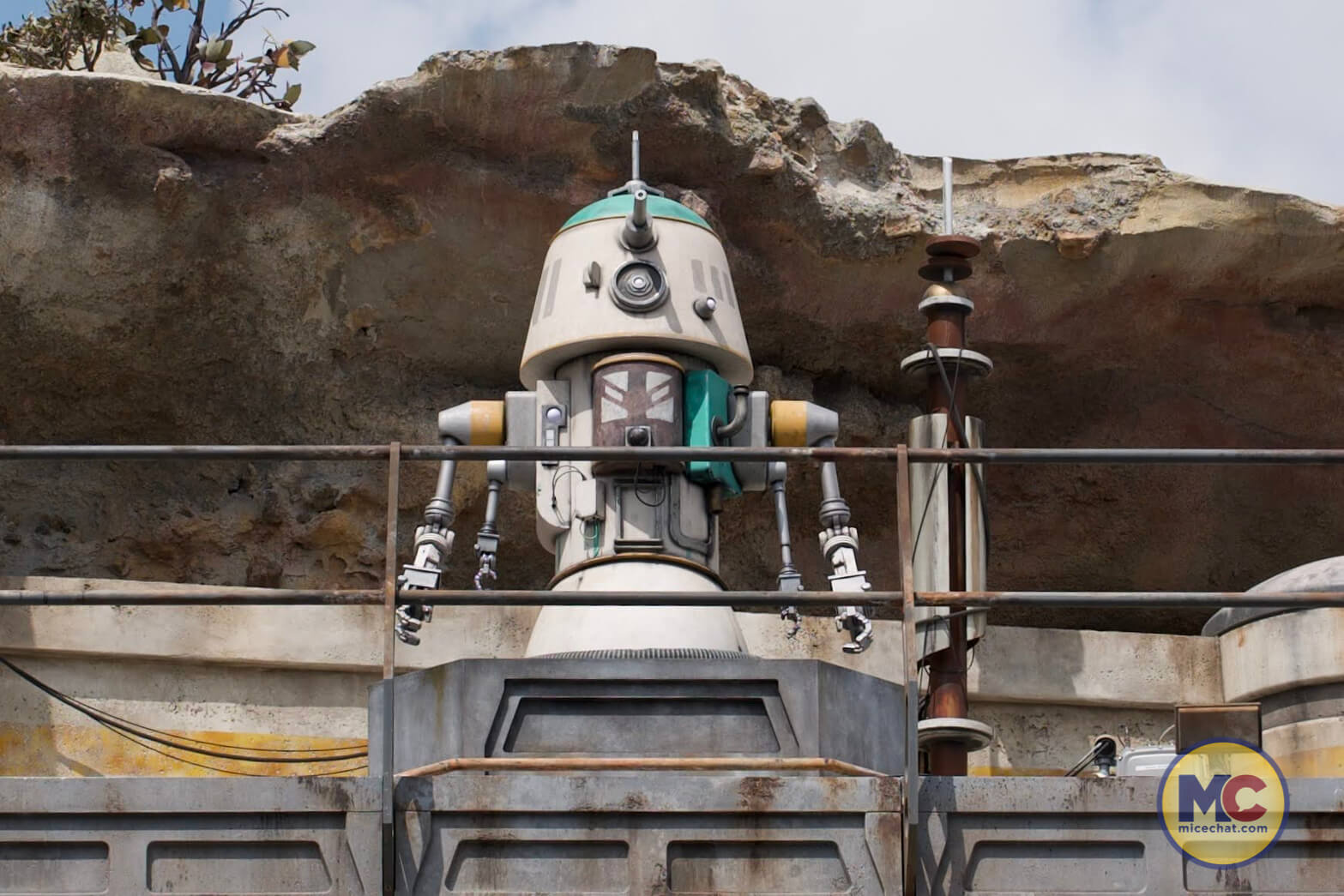 , DISNEYLAND UPDATE: Beautiful Fantasies & Overwhelming Nightmares