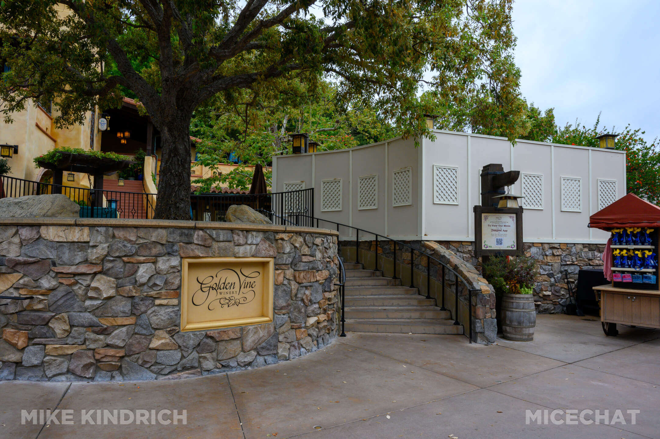 , DISNEYLAND UPDATE: Beautiful Fantasies & Overwhelming Nightmares