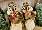 Photo_1 chip and dale fort wilderness