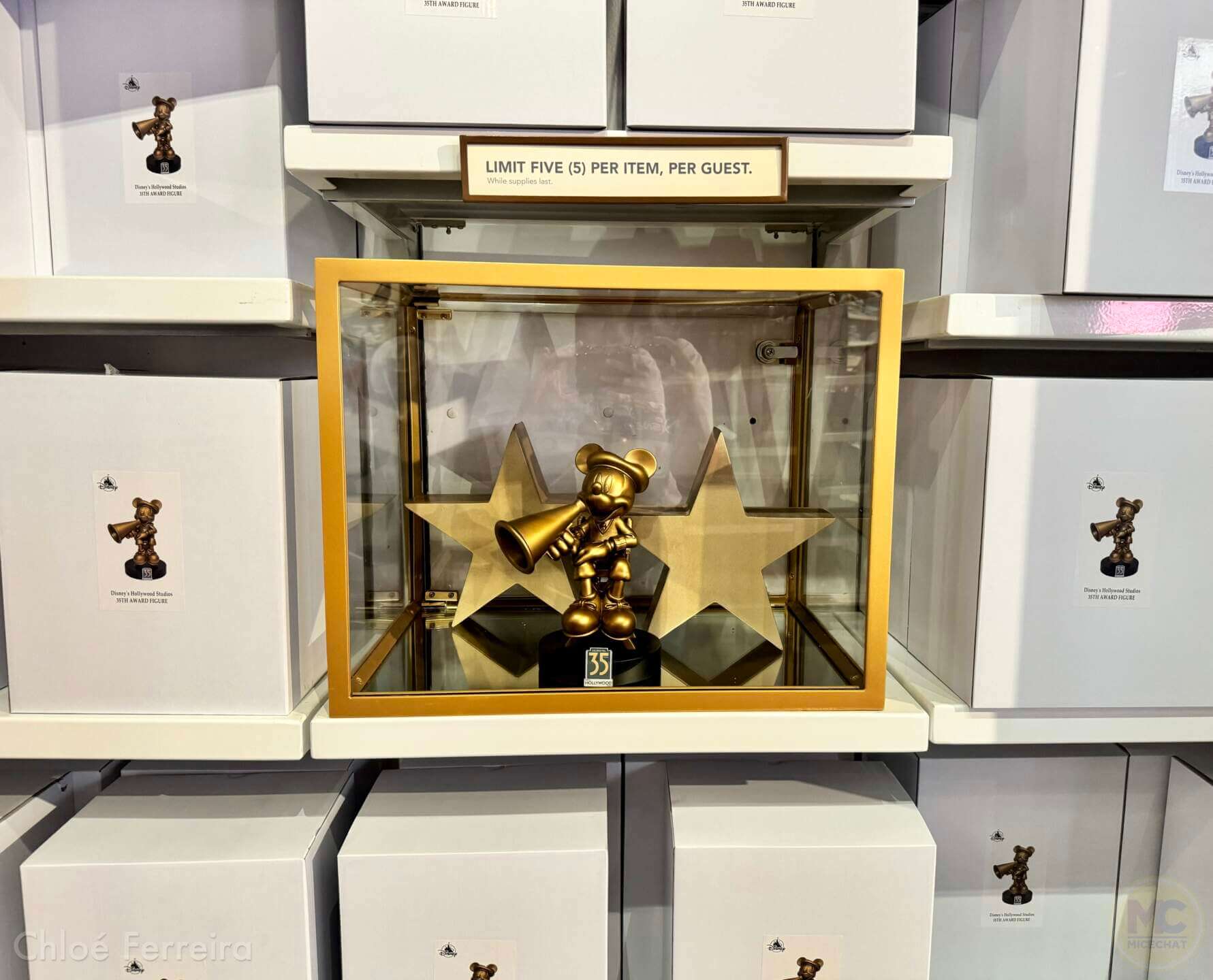 Disney's Hollywood Studios, Lights, Camera, Action! Disney’s Hollywood Studios Celebrates 35 Years