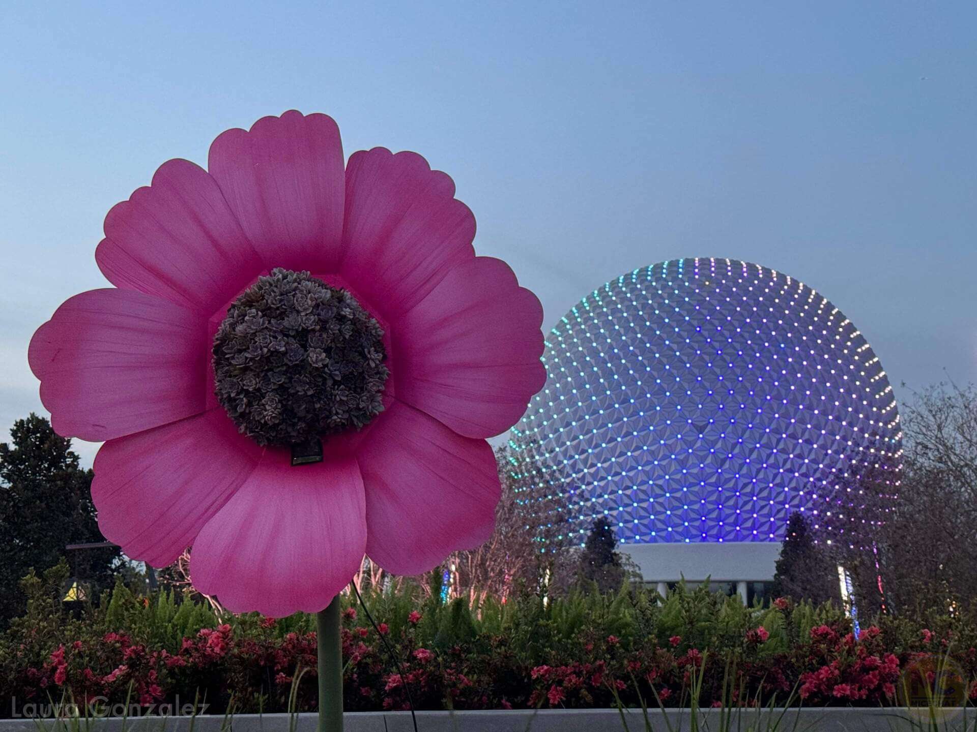 , WDW Update: Soaring Dreams, Epcot Evolves & Tiana Time