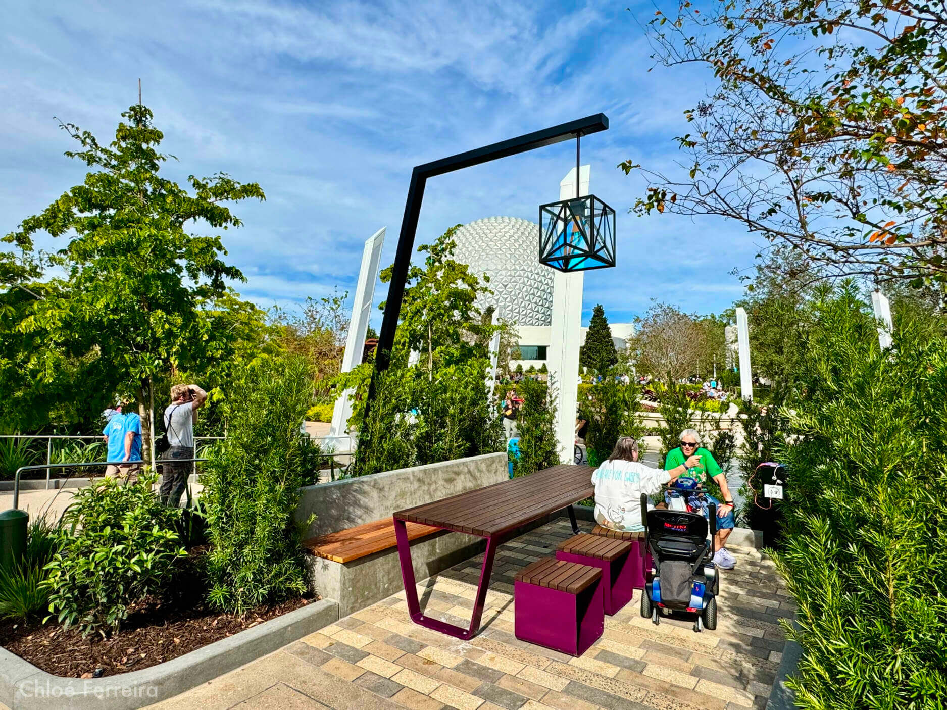, WDW Update: Soaring Dreams, Epcot Evolves & Tiana Time
