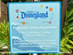 Suzanne Lee_MiceChat_Disneyland Resort_Monday Update (6 of 22)