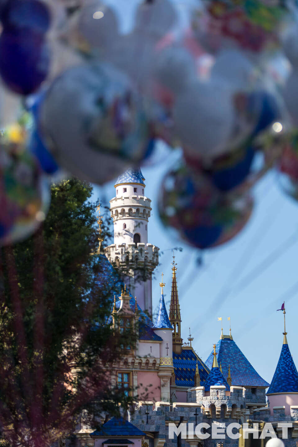, DISNEYLAND UPDATE: Crowd Collapse, Oogie Observations & A Splashtacular Surprise