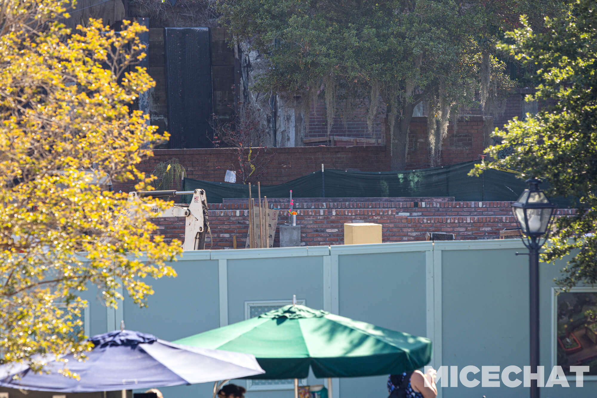 , DISNEYLAND UPDATE: Crowd Collapse, Oogie Observations & A Splashtacular Surprise