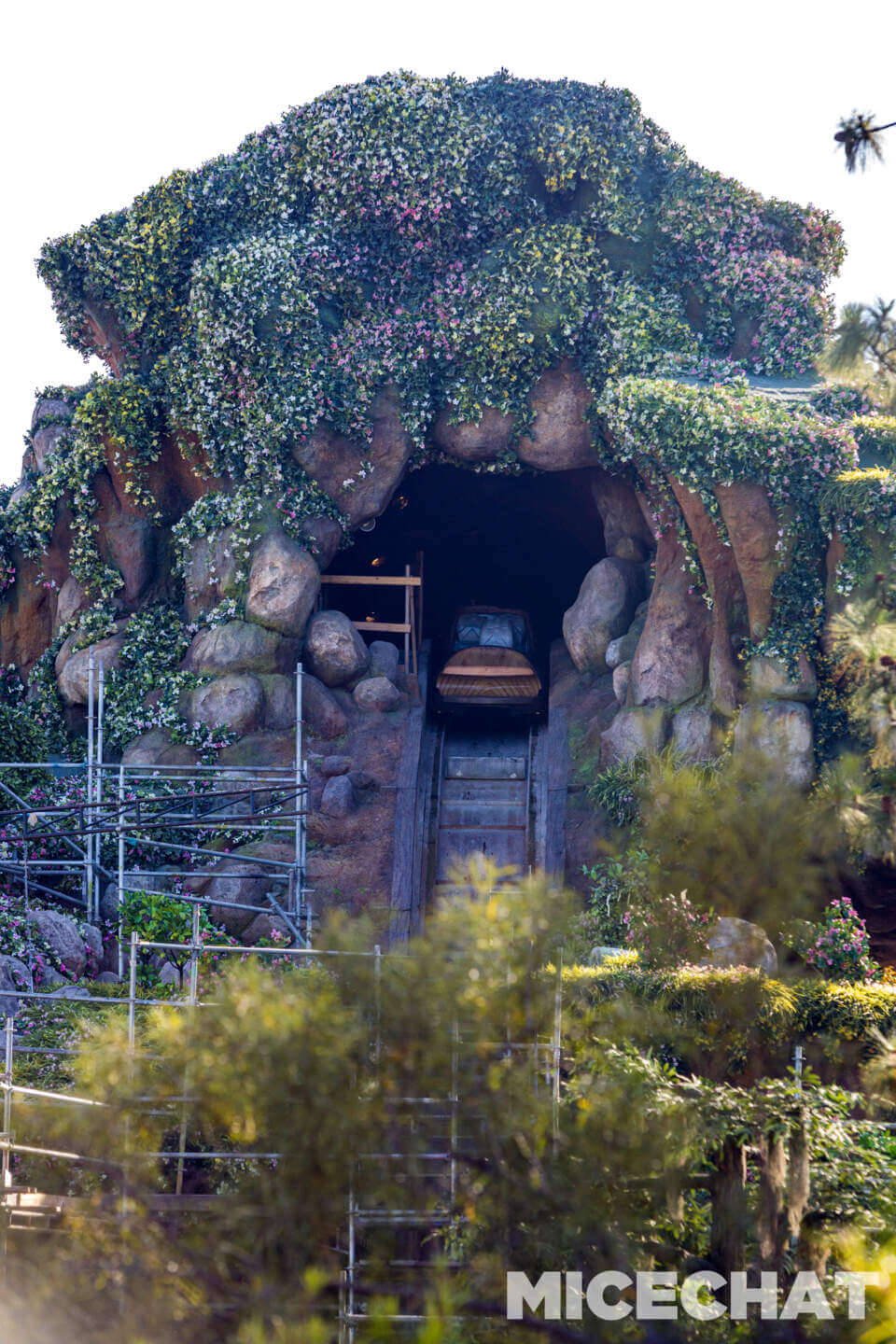 , DISNEYLAND UPDATE: Crowd Collapse, Oogie Observations & A Splashtacular Surprise