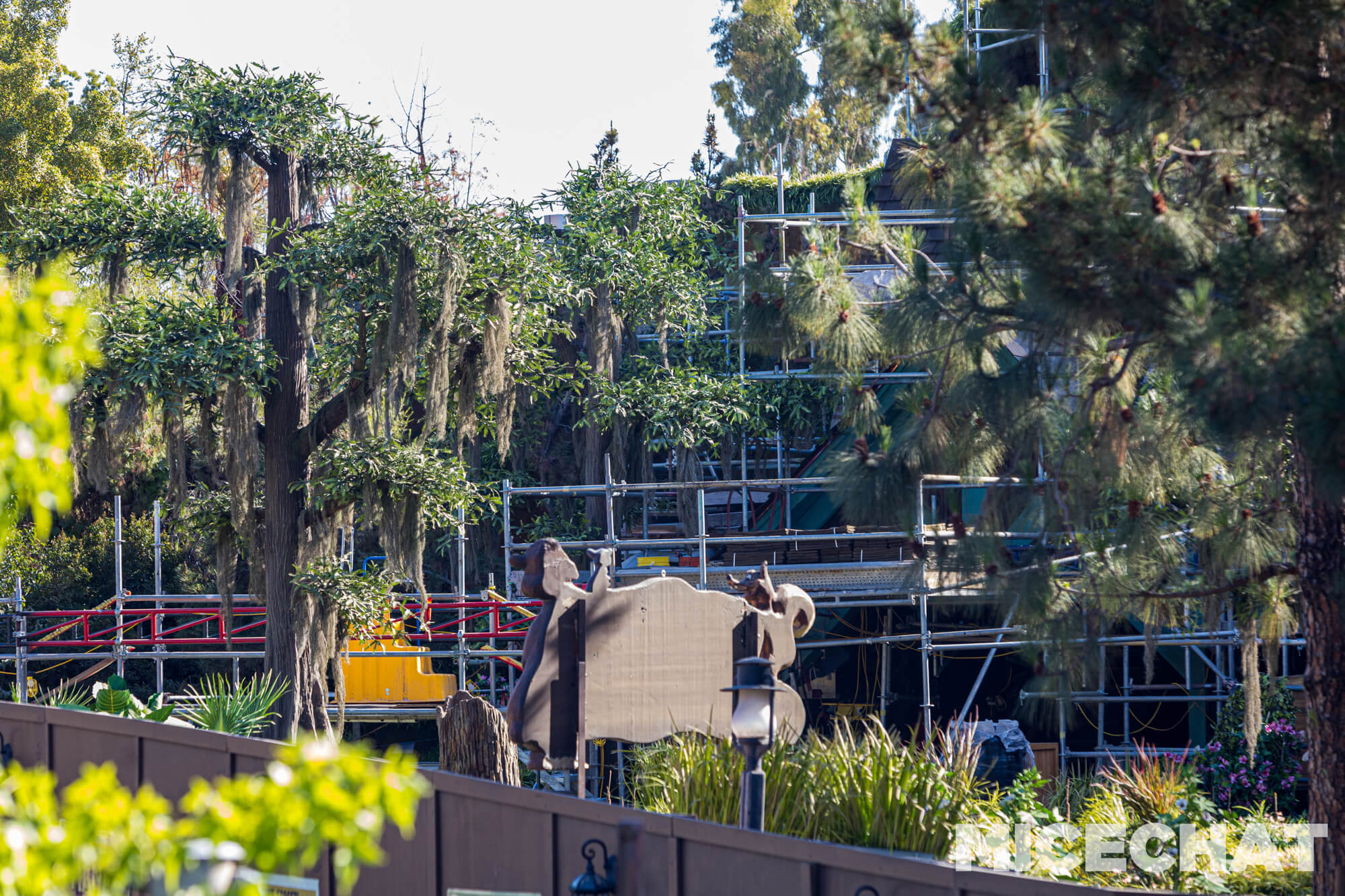 , DISNEYLAND UPDATE: Crowd Collapse, Oogie Observations & A Splashtacular Surprise