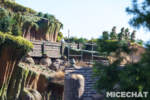 026_Disneyland_Tiana’s Bayou Adventure construction