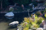 030_Disneyland_Native Americans