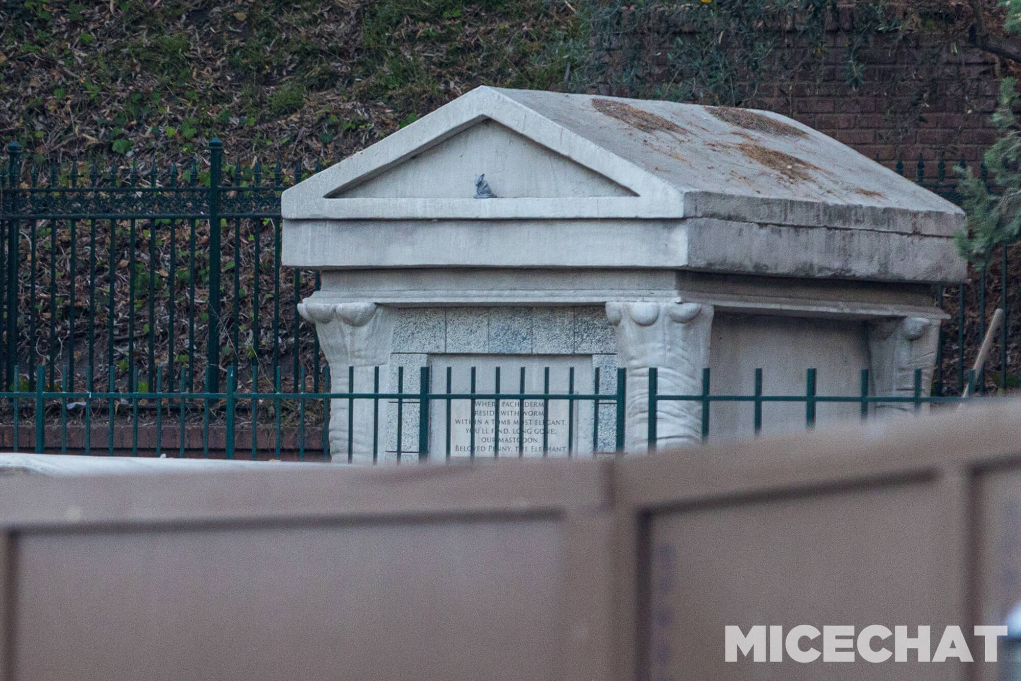 , DISNEYLAND UPDATE: Crowd Collapse, Oogie Observations & A Splashtacular Surprise