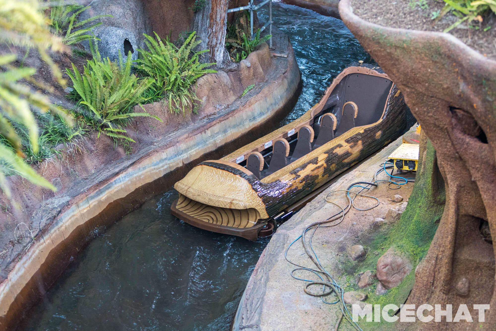 , DISNEYLAND UPDATE: Crowd Collapse, Oogie Observations & A Splashtacular Surprise