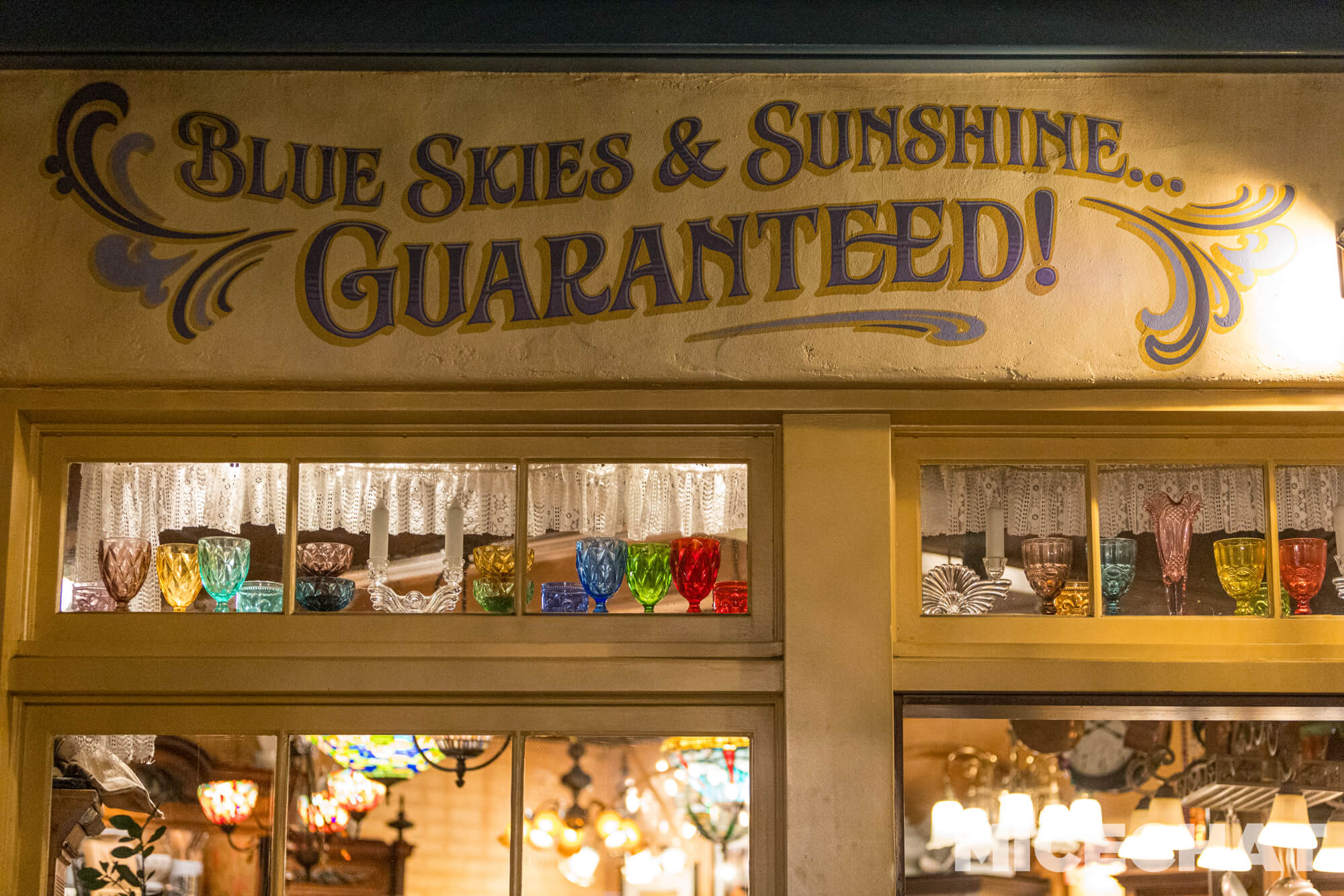 , DISNEYLAND UPDATE: Crowd Collapse, Oogie Observations & A Splashtacular Surprise