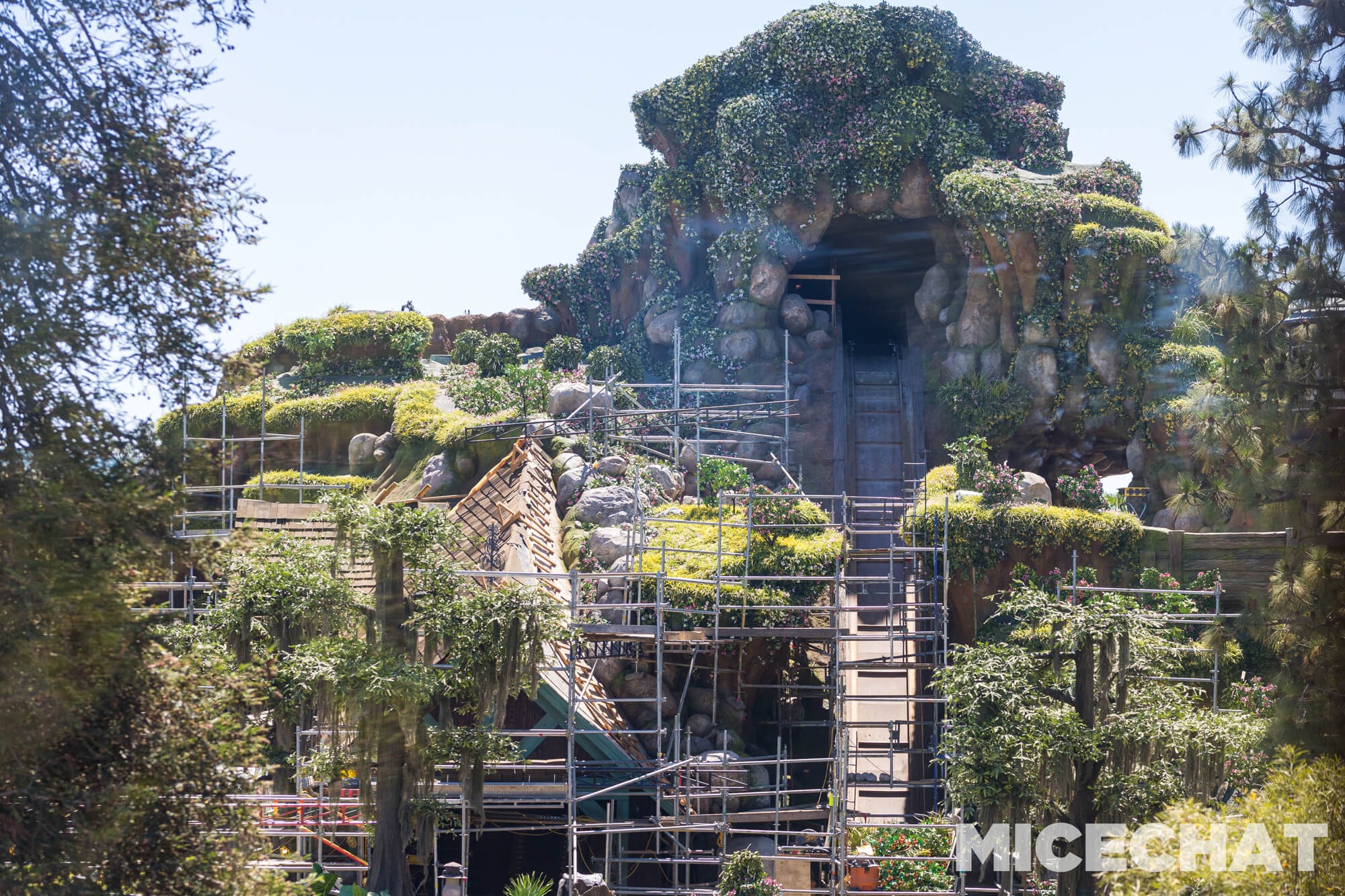 , DISNEYLAND UPDATE: Crowd Collapse, Oogie Observations & A Splashtacular Surprise