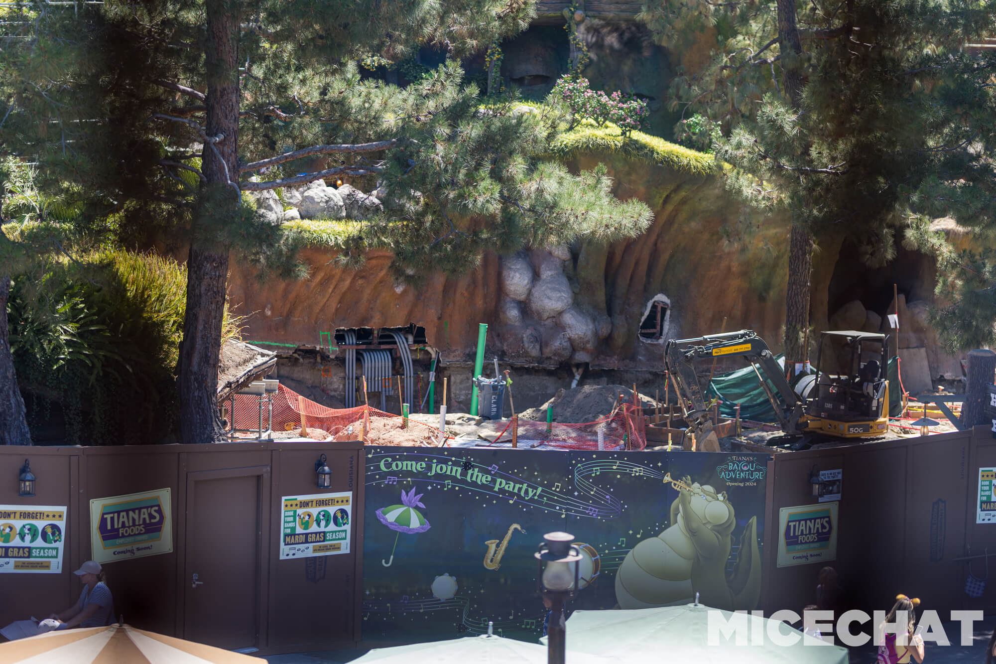 , DISNEYLAND UPDATE: Crowd Collapse, Oogie Observations & A Splashtacular Surprise