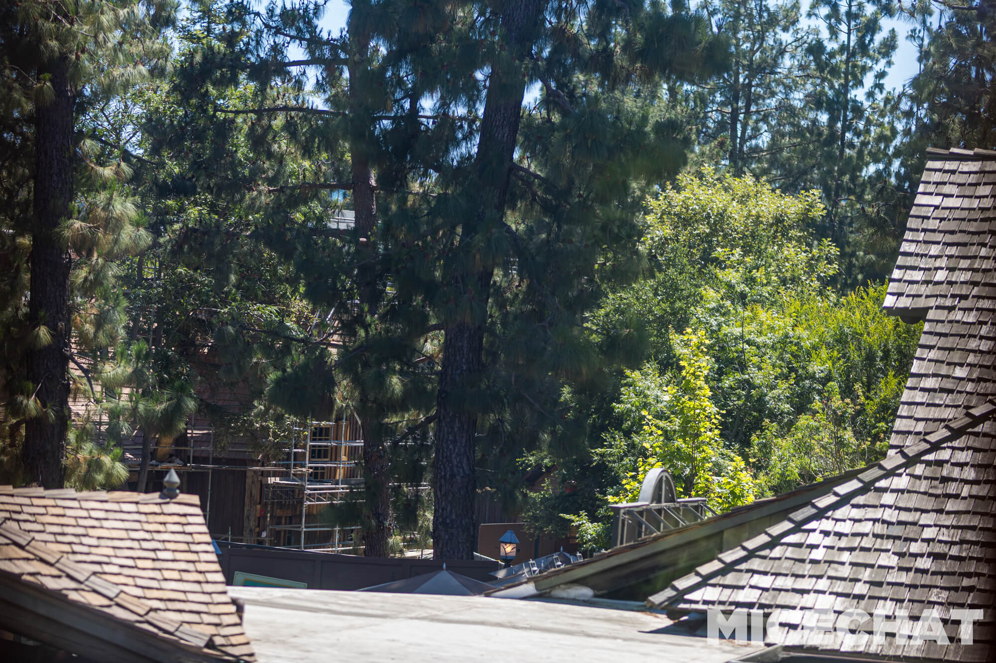 , DISNEYLAND UPDATE: Crowd Collapse, Oogie Observations & A Splashtacular Surprise
