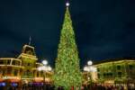 2024-disneyland-holidays-tree-1024×683